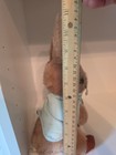 Vtg Beatrix Potter Peter Rabbit Stuffed Plush Animal 1970   s Eden Toys Usa Read 