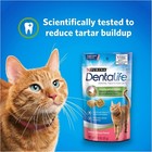 Purina Dentalife Cat Dental Treats Savory Salmon 6x1 8oz - Ships Fast  Exp 07 25