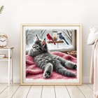 Diamond Painting Kits Cat For Adults  Diamond Art Kits For Beginner  Diy 5d Roun