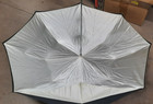 The Eclipse By Photogenic Umbrella Satin White And Silver  lot 3 