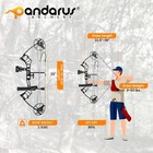 Archery Ready To Hunt Lightweight Compound Bow Package For Adults And Youth  652