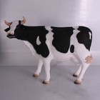 Small Holstein Cow Head Up Resin Statue Farm Animal Display Prop Home Decor