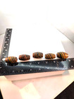 Indian Trade Beads Large C 1850