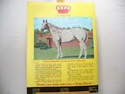 Vintage Appaloosa News Magazine Original April 1974