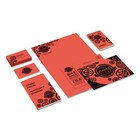 Neenah Paper Astrobrights Colored Card Stock 65 Lb  8-1 2 X 11 Rocket Red 250
