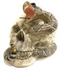Cranium Goth Skeleton Head With Cobra Snake Habitat Skull Statue Figurine 4 25 h