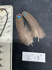 Germaines Peacock Pheasant Feathers