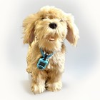 Friends Sky Rocket Moji Interactive Labradoodle W  Collar  Key Tag  And Rope     