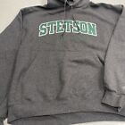Vtg Champion Stetson College Of Law Gray Hoodie Large Stitched Lettering See Pic