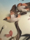 Framed Realism Birds   Flowers Nature Wall Art Picture