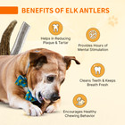 Premium Split Elk Antler For Small Dogs - Healthy Natural Odourless Dog Chews