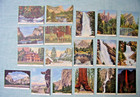 18 Vintage Yosemite National Park  California 2 5  X 3 5  Souvenir Views Colored