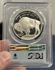 2001-p American Buffalo Silver Commemorative Dollar -pcgs Pf69dcam Black Diamond
