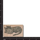 Wood Rubber Stamp  Cat With Book  Cat Stamp  Read animal eyes kitty kitten humor