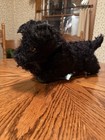 Steiff Scotty Dog Mohair Ear Button Collectible Early Plush