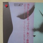 Brewster Mccloud 1971  Original Movie Poster Japanese B2 Robert Altman