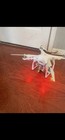 Dji Phantom 3 Professional Drone Model W322b3 