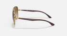 Ray-ban Rb3683 Polished Gold Frame   Brown Gradient Lenses Rb3683