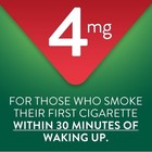  2 Pack  Equate Uncoated Nicotine Gum 4 Mg  Original Flavor 440 Count Stop Smoke
