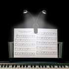Music Stand Light  1 2 4 10 Pack Clip On Led Book Lights  Usb And Aaa Battery   