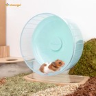 Super-silent Exercise Running Wheel 11  Inch Mint Green Hamsters Gerbils Mice
