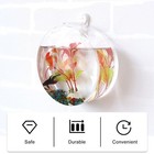 Glass Vase Mini Hydroponic Flower Pot Wedding Decorations Propagating Plants