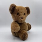 Eden Brown Teddy Bear Plush Wind Up Musical Vintage Plays Music Sitting Baby 8in