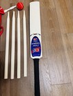 Junior Cricket Bat Set Wooden Kids Youth Practice Training Outdoor Play Ball Set