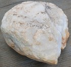 Big Natural Creamy White Quartz Raw Healing Crystal Stone Rock Arizona 59 Lb 9oz