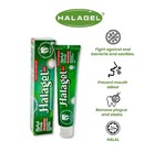 Halagel Halal Herbal Toothpaste 175g - Fluoride Free Natural Vegetarian Friendly