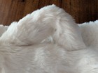 Pottery Barn Kids Oversized Faux Fur Anywhere Chair Slipcover - Ivory - Open Box
