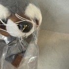 Ganz 2026 Webkinz Next Raccoon New Wk00043 Dual 2 Adoption Codes Gen3