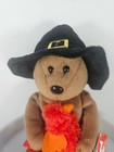 Vintage Ty Plymouth The Bear 2004 Thanksgiving Doll