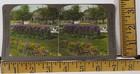 Antique Photo The Beautiful Valley Gardens  Harrogate England Stereoscope