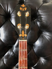 4 String Tenor Banjo