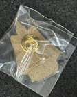Dead And Company Pin Albany Ny 2021