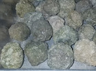  5 Lb Lot      15 To 19 Uncut Rough Oregon Thundereggs  Wildcat Beds Old Stock