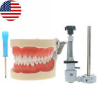 Us Dental Typodont Teeth Model With Removable Teeth For Kilgore Nissin 200 Type