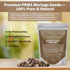 1000 Moringa Oleifera Seeds 10oz Wingless Fresh Organic Semillas De Moringa Tree