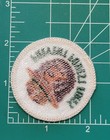 Official Smokey Bear Souvenir Patch Prevent Forest Fires Us Forest Service Smoky