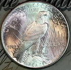 1926-p Superb  Gem Bu Ms Peace Silver Dollar Dc186 From Matthews Hoard