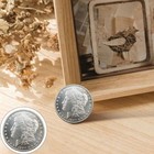 1890 Silver Dollar Brilliant The Original P Version Of Morgan Coin Uncirculated