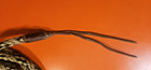 Older 22  Horsehair Mecate 5 8  5 Strand Nicely Worn In