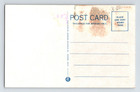 Postcard Native American Indian 1930s Unposted White Border