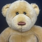 Animal Alley Toys R Us Golden Tan Teddy Bear Plush Stuffed Animal 2000 Sits
