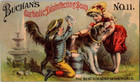 Buchanans Carbolic Disinfecting Soap No11 Best Dog Soap In The World Trade Card