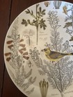 Pottery Barn Meadowlark Bird And Floral 15  Serving Platter