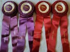 Spring Hill Farm Vintage Horse Show Ribbons Awards Equestrian Events