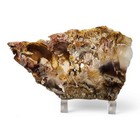 Plume Agate Slab Oregon 92 6 Grams 