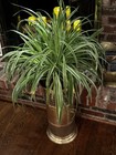 Mcm Vintage Brass Umbrella Stand Plant Stand Hollywood Regency Entryway